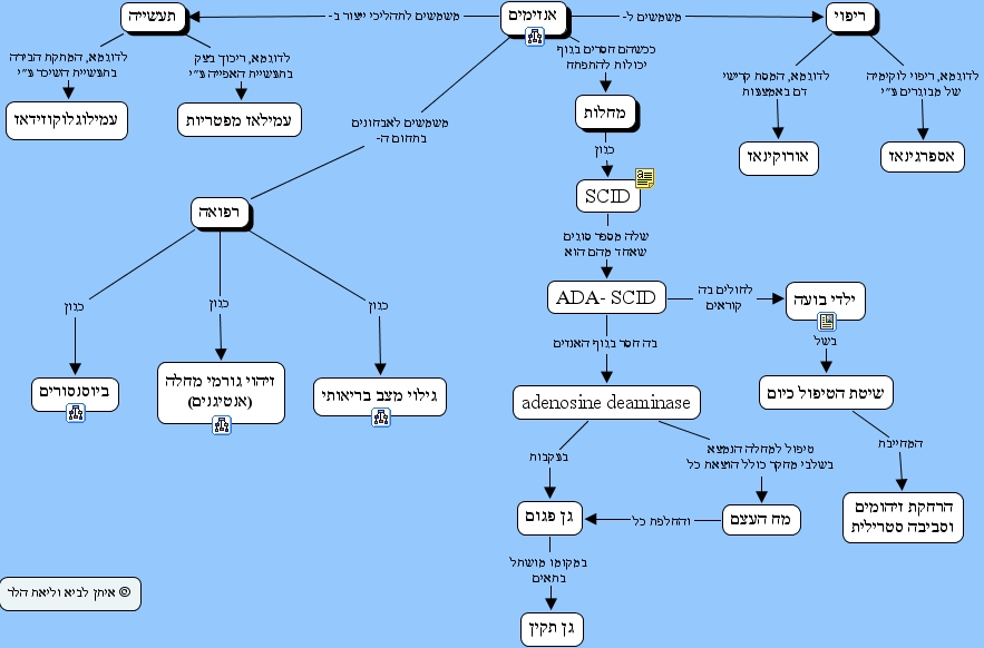Enzyme Concept Map vrogue.co