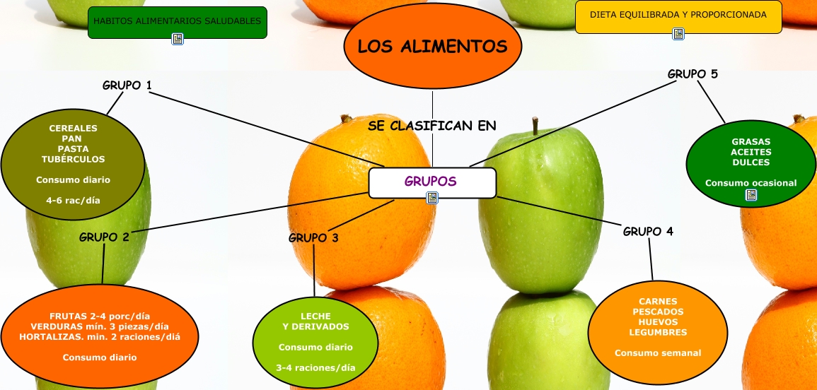 Mapa Conceptual Los Alimentos 5817