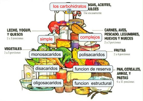 Resultado de imagen para que son los carbohidratos y como se clasifican