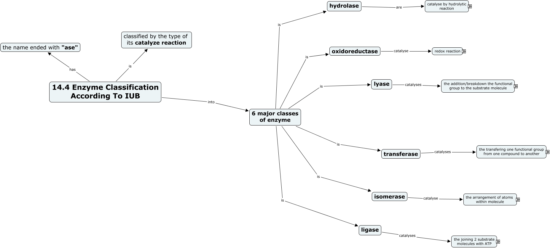 14.4 ENZYME CLASSIFICATION ACCORDING TO IUB