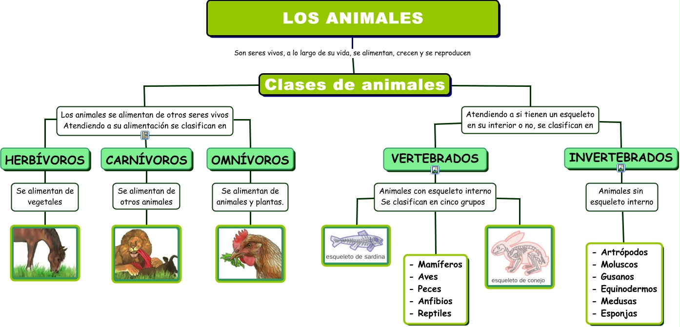 Animales