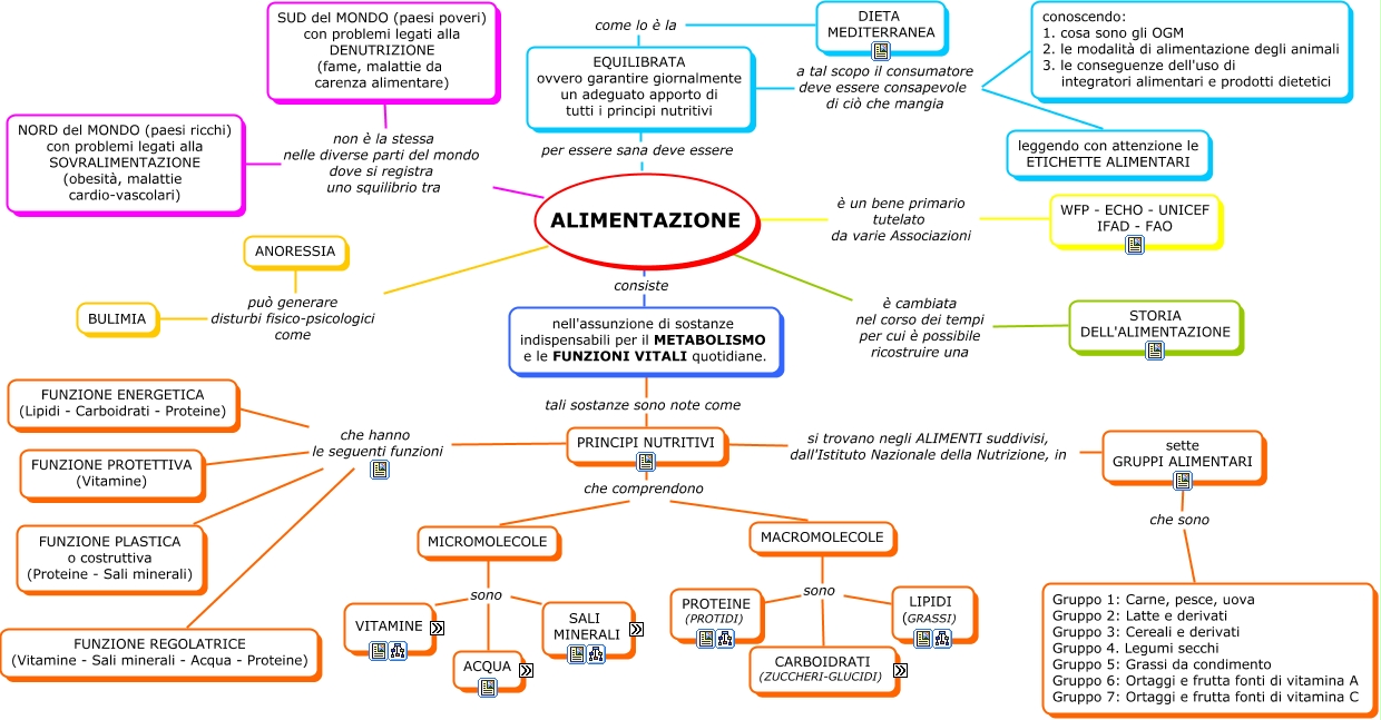 In Quale Delle Seguenti Strutture Cellulari Si Trova L Rna