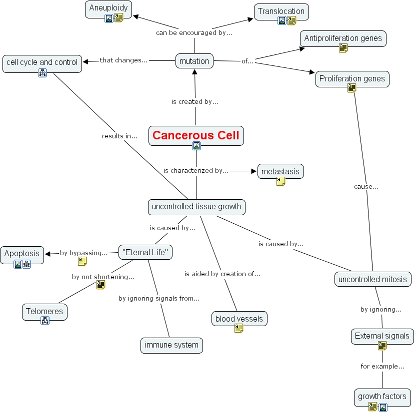 cell cycle concept map mitosis