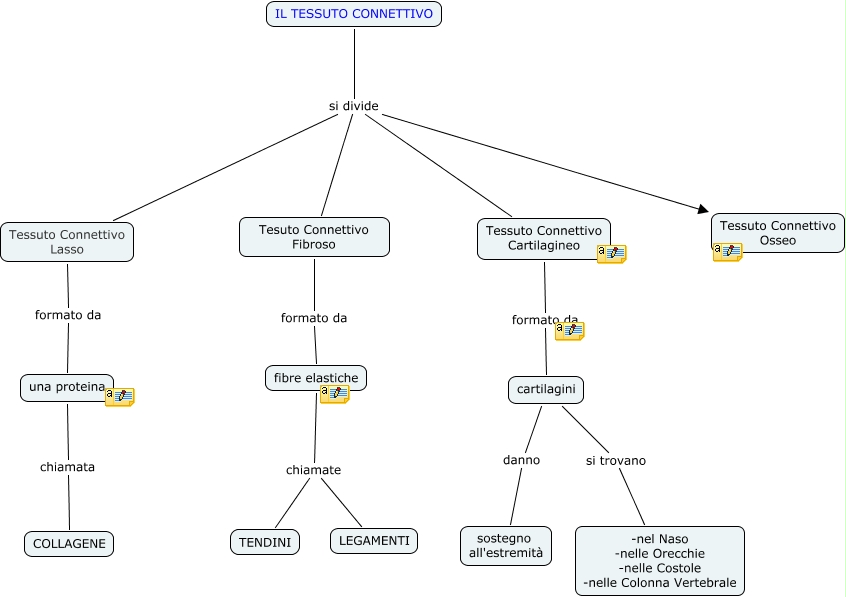 mappa concettuale del tessuto connettivo