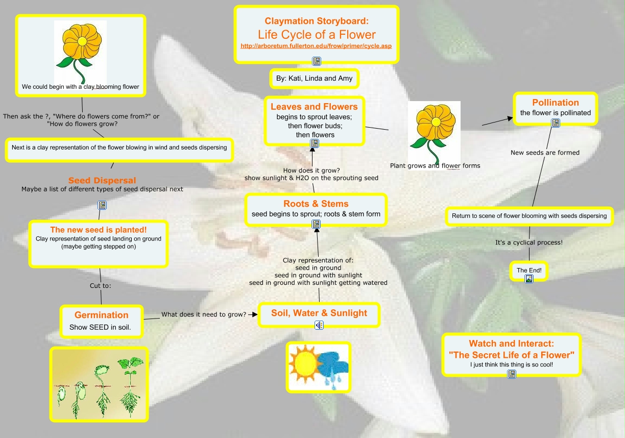 Life Cycle of a Flower by Kati, Linda, and Amy What is the life cycle