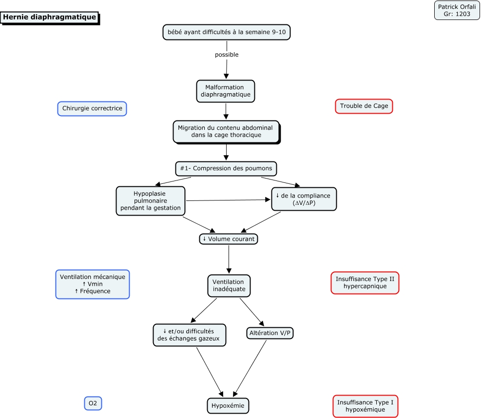 Schema Hernie Diaphragmatique Patrick Orfali