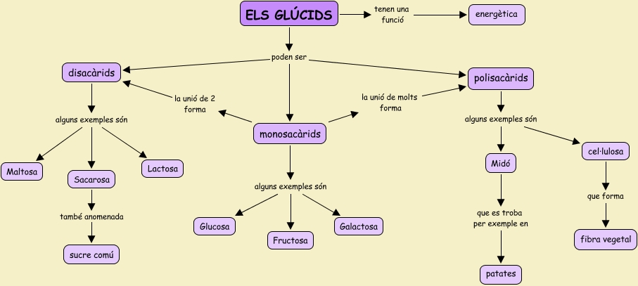 Mapa Conceptual Sobre Els Glucids Que Son Els Glucids