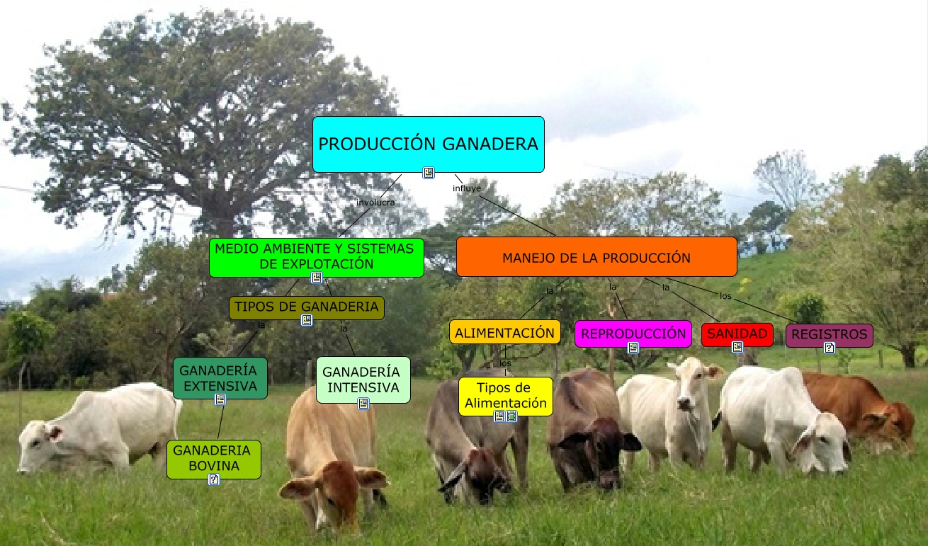 Producción Ganadera 2