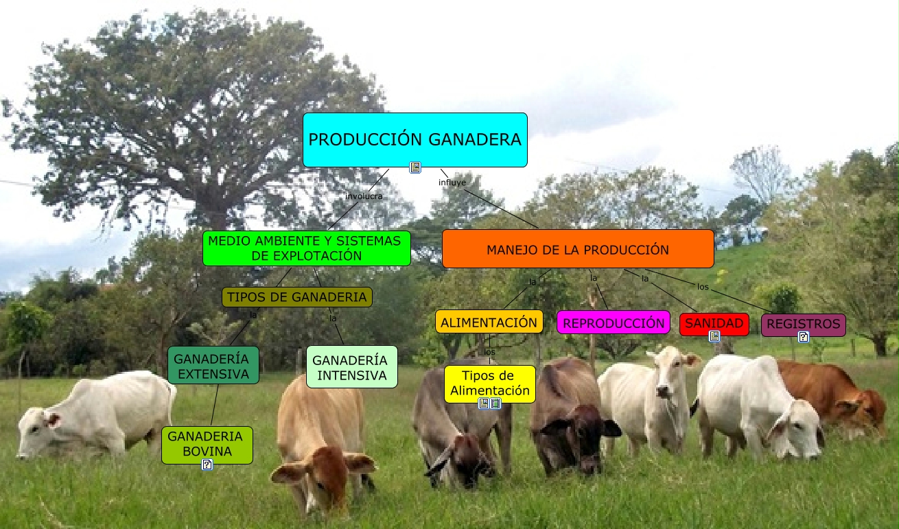 Producción Ganadera