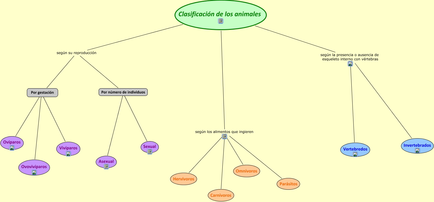 LA CLASIFICACIÓN DE LOS ANIMALES