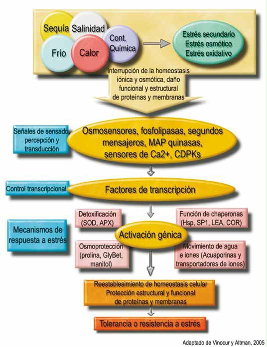 IHMC Public Cmaps (2)