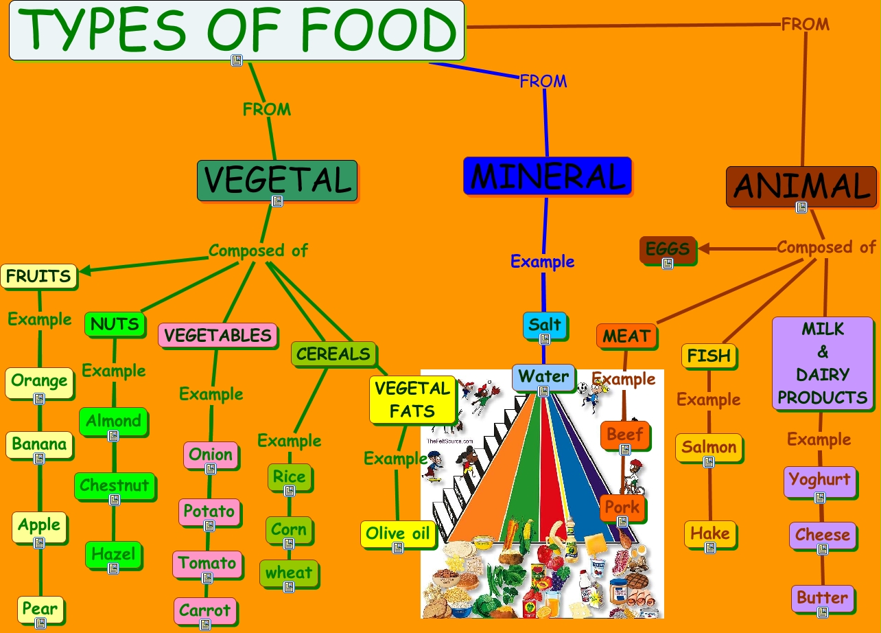 Types Of Food Food in English