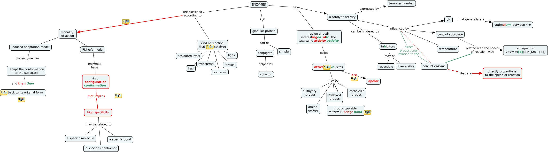 enzymes
