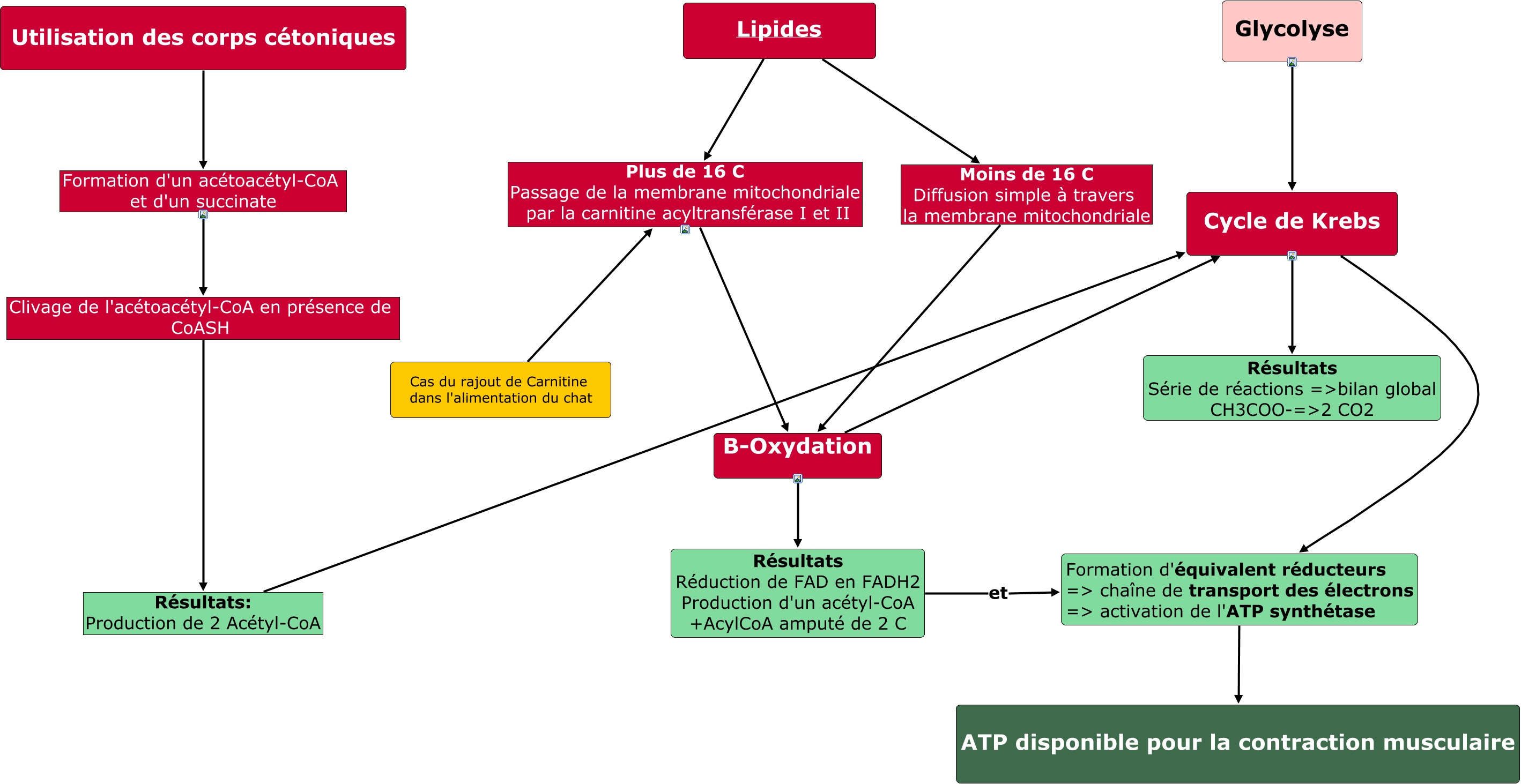 Origine de la vie : la réponse pourrait se trouver dans les chaînes de transport  d'électrons, image size:2837x1463