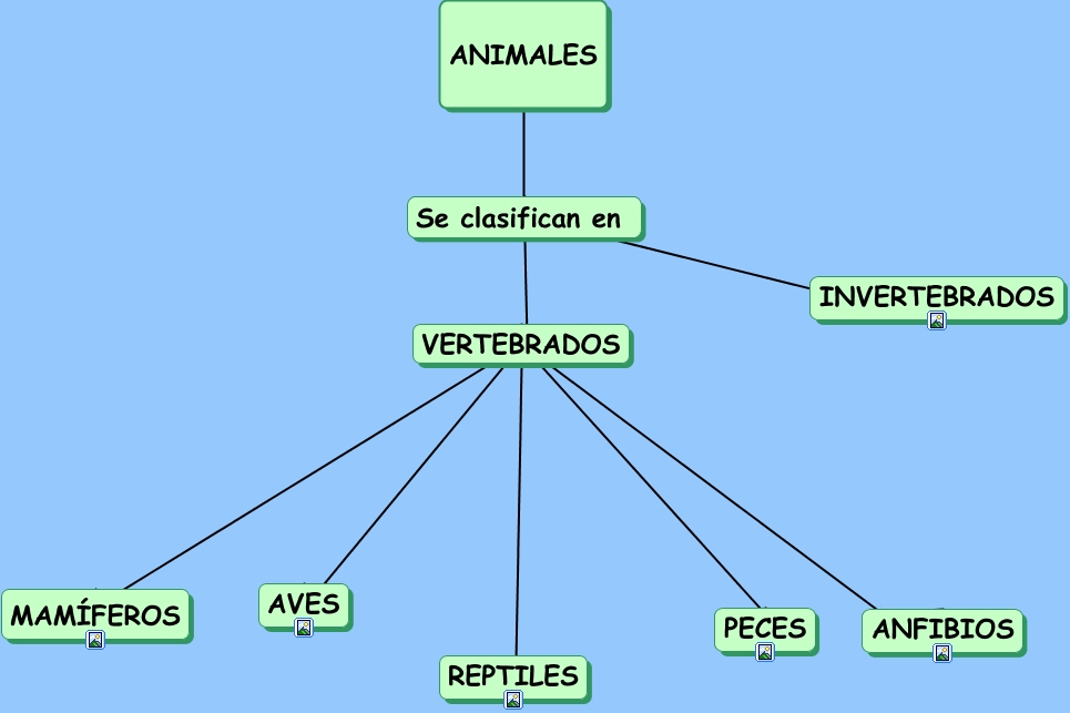 Mapa conceptual animales vertebrados