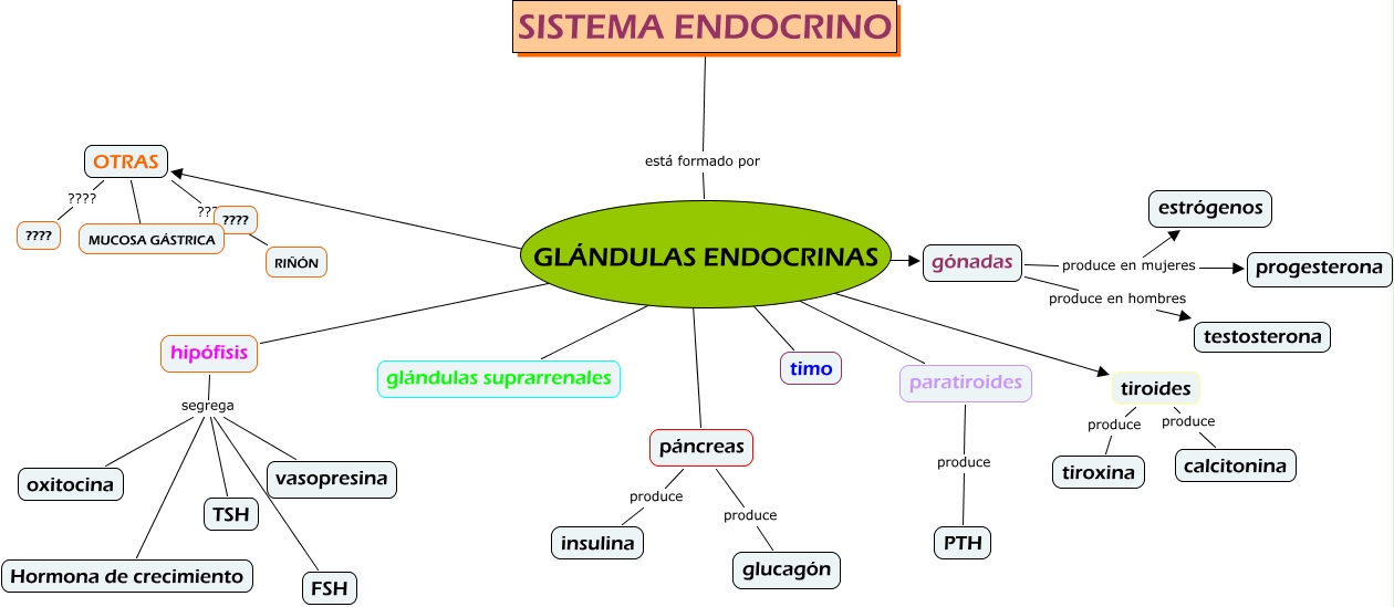 mapa conceptual carlos nicolas