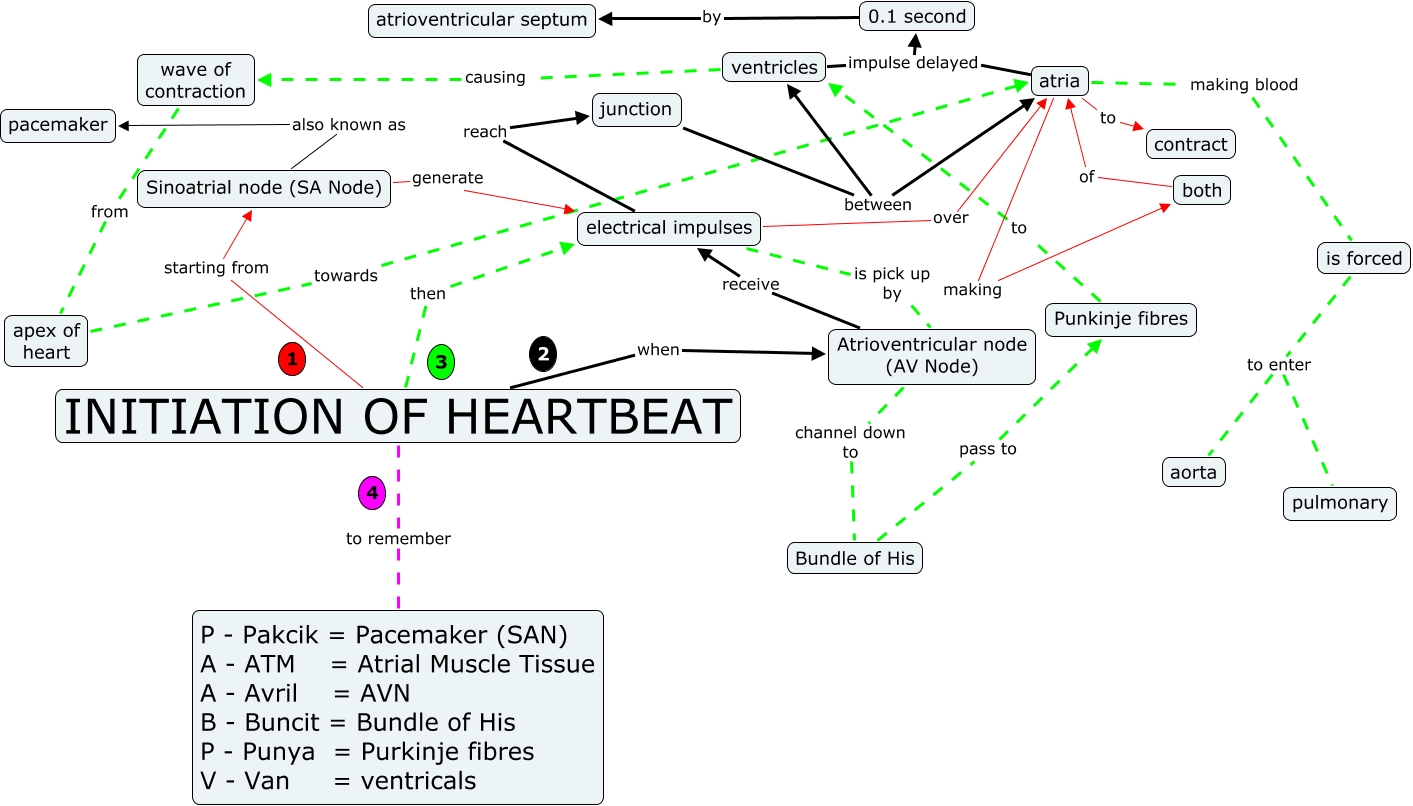 InitiationHeartbeat_NyssSukesuke Initiation Heart Beat