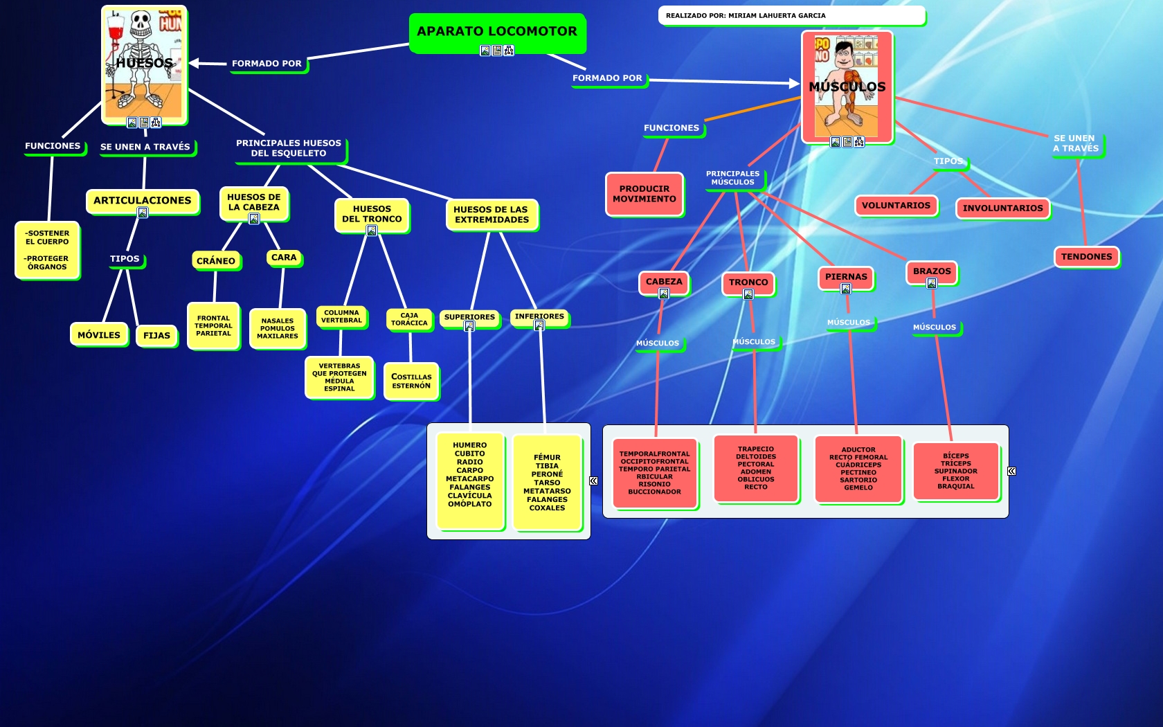 MAPA CONCEPTUAL EL APARATO LOCOMOTOR