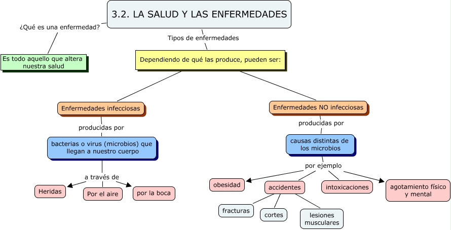 LA SALUD Y LAS ENFERMEDADES