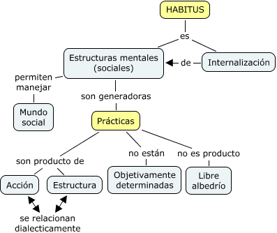 Habitus. Хабитус. Габитус Бурдье. Габитус примеры. Габитус в медицине.