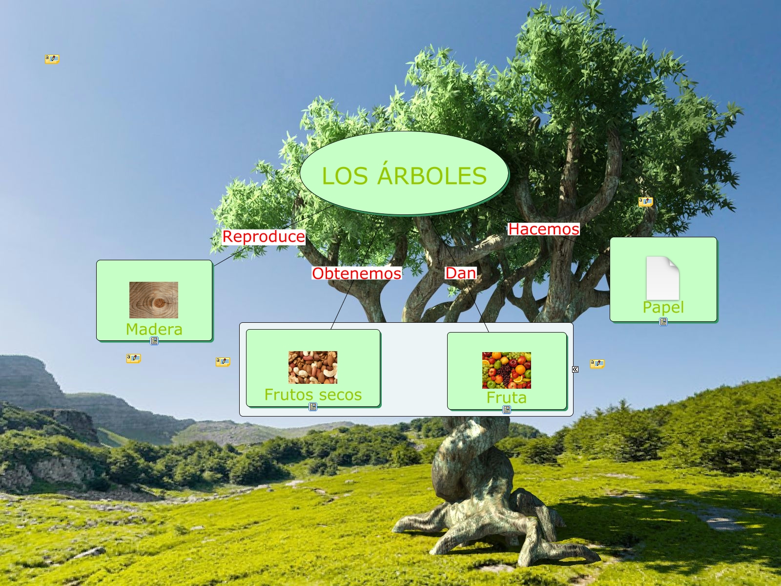 Mapa conceptual- Los árboles 1
