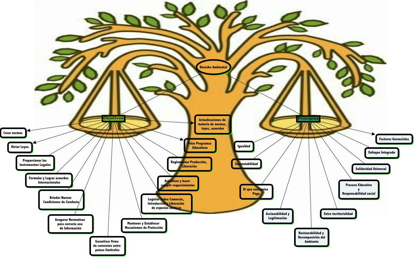 Resultado de imagen para derecho ambiental