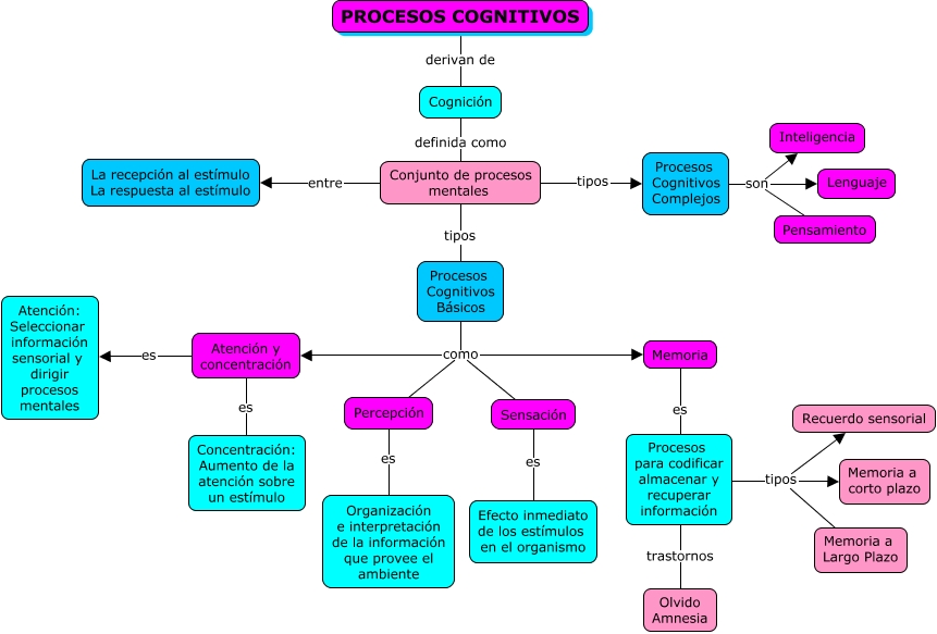 Resultado de imagen para los procesos cognitivos