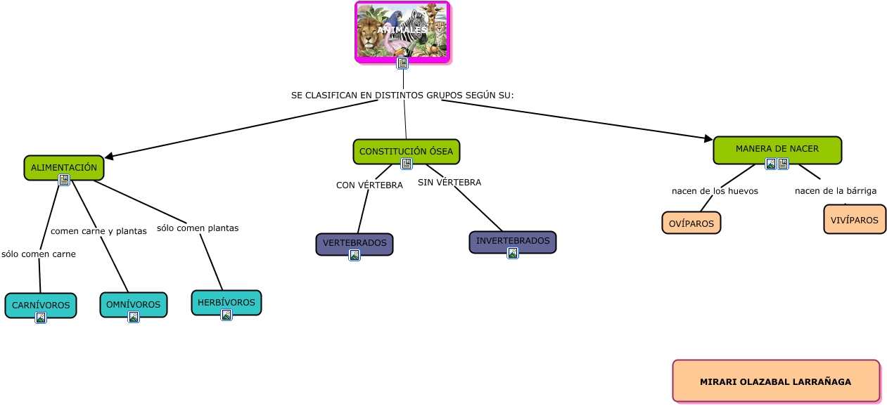 Mapa conceptual sobre animales