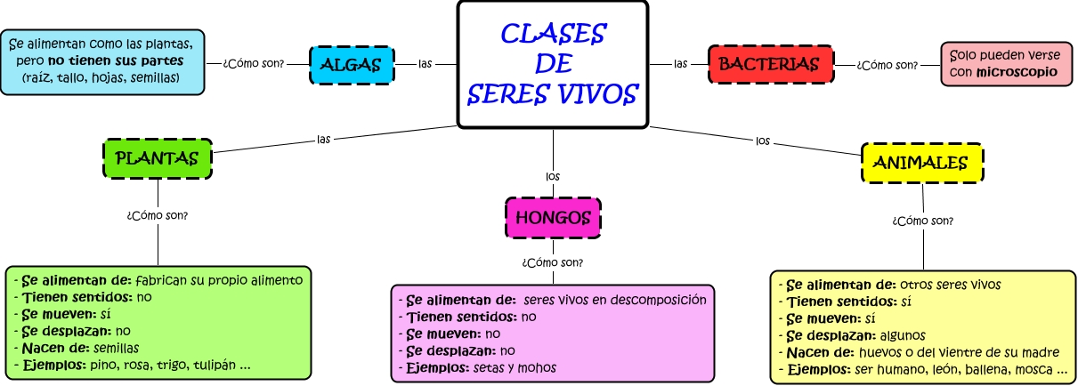 Resultado de imagen de los 5 reinos de los seres vivos