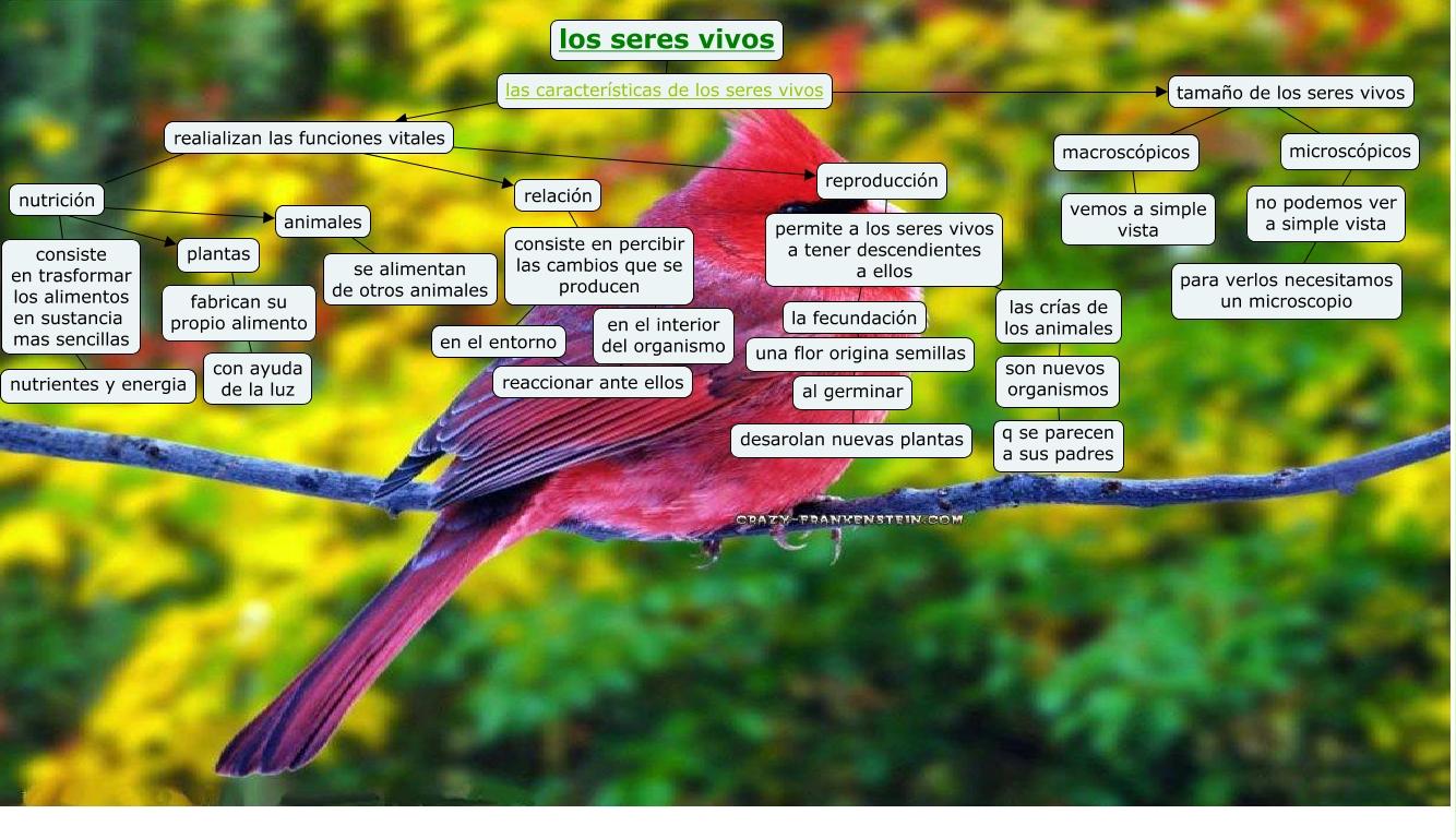 naturales modulo