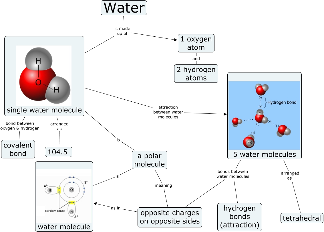 water_practical - molecules_of_life.