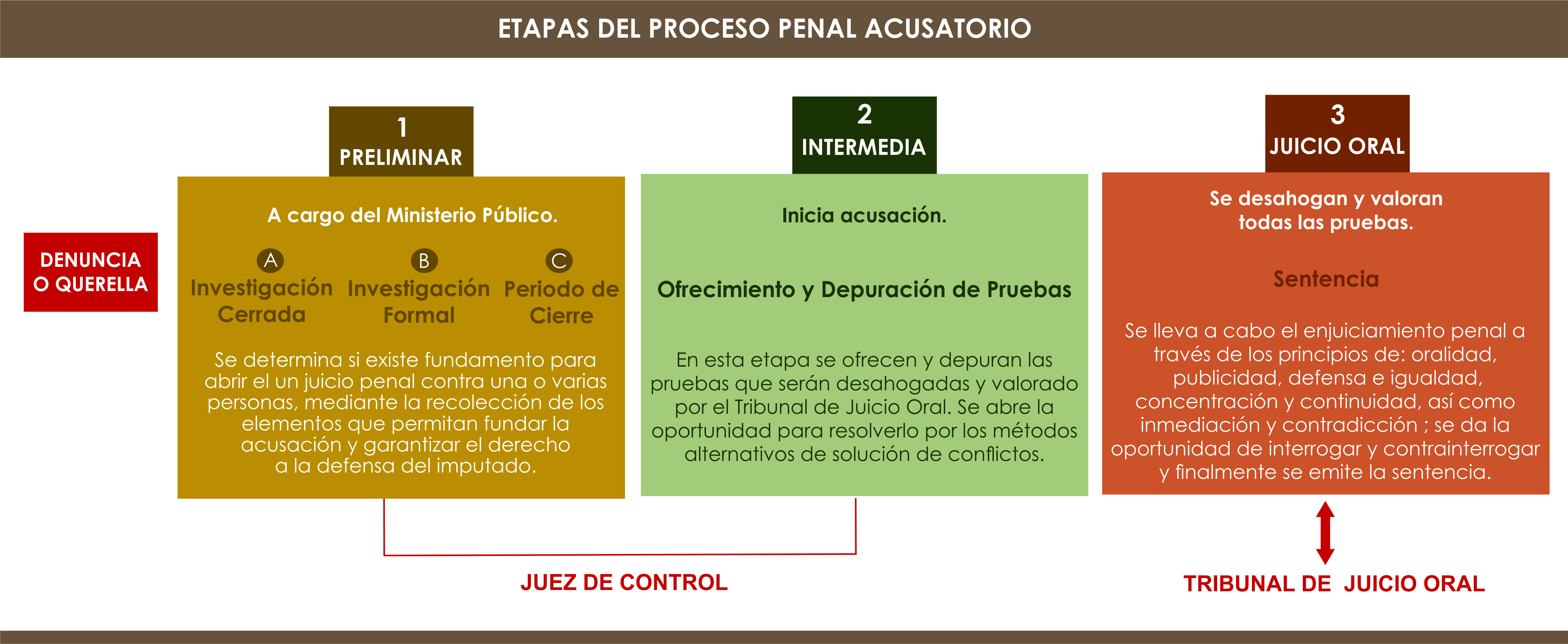 Mapa Mental Etapas Del Proceso Penal Acusatorio Esquemas Y Mapas 0137 ...
