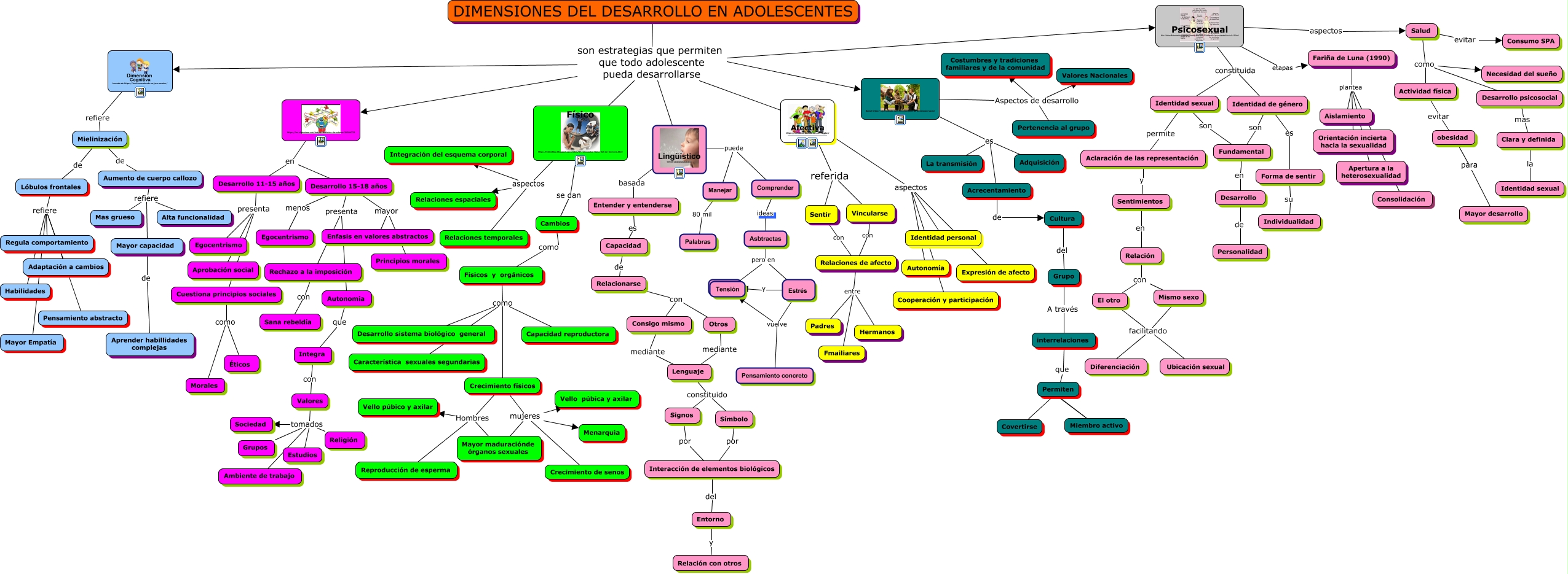 MAPA CONCEPTUAL DIMENSIONES